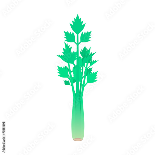 celery stem isolated on white background