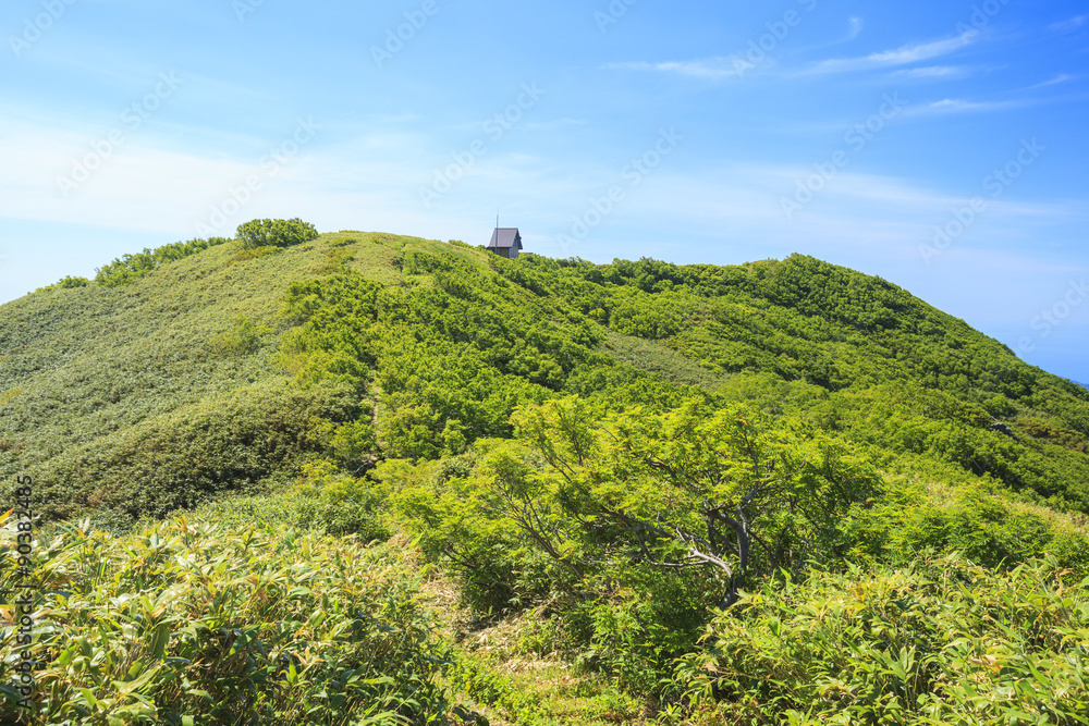 Obraz premium 夏の白神岳 青森県深浦町