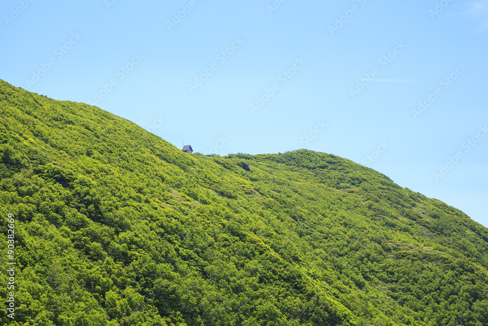 Obraz premium 夏の白神岳 青森県深浦町