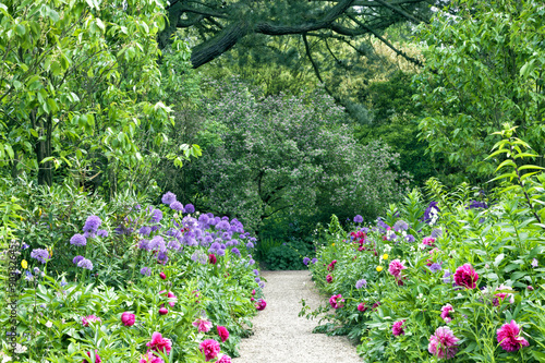 Stone garden path in the middle of summer cottage flowers, shrubs, trees