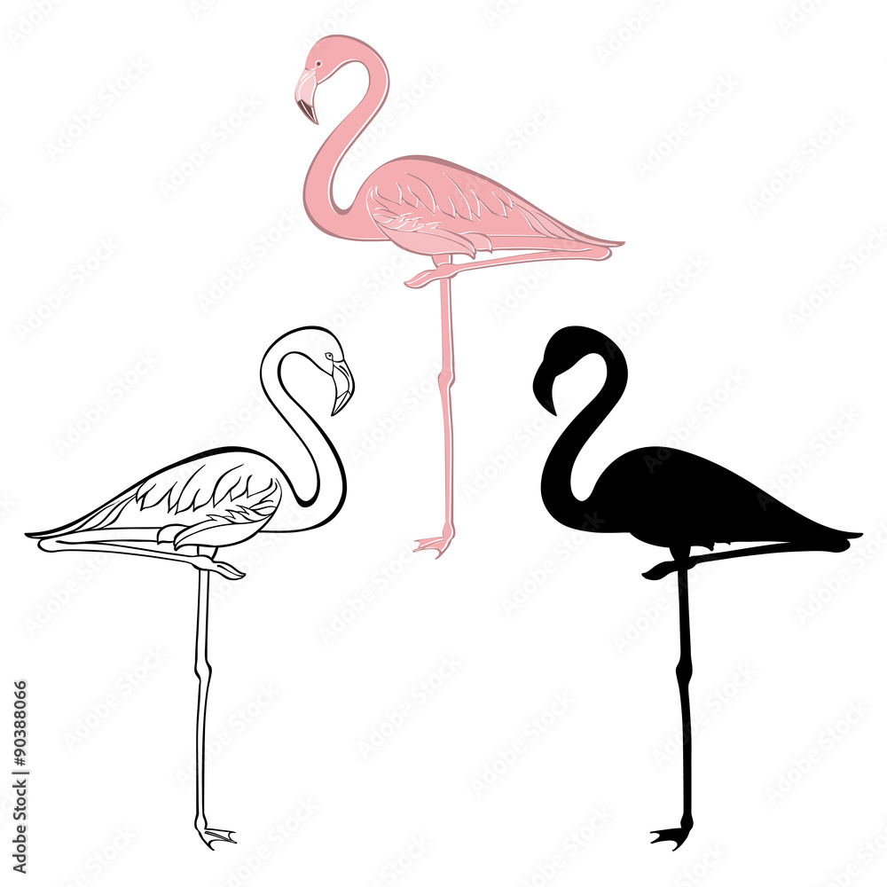 Obraz premium Flamingo. Vector set. Hand drawn illustration, isolated element