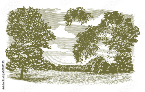 Woodcut Missouri Landscape