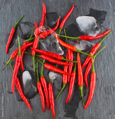 Hot Red Chili Pepper/