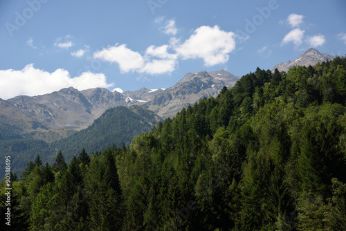 montagne cime bosco verde alpi 