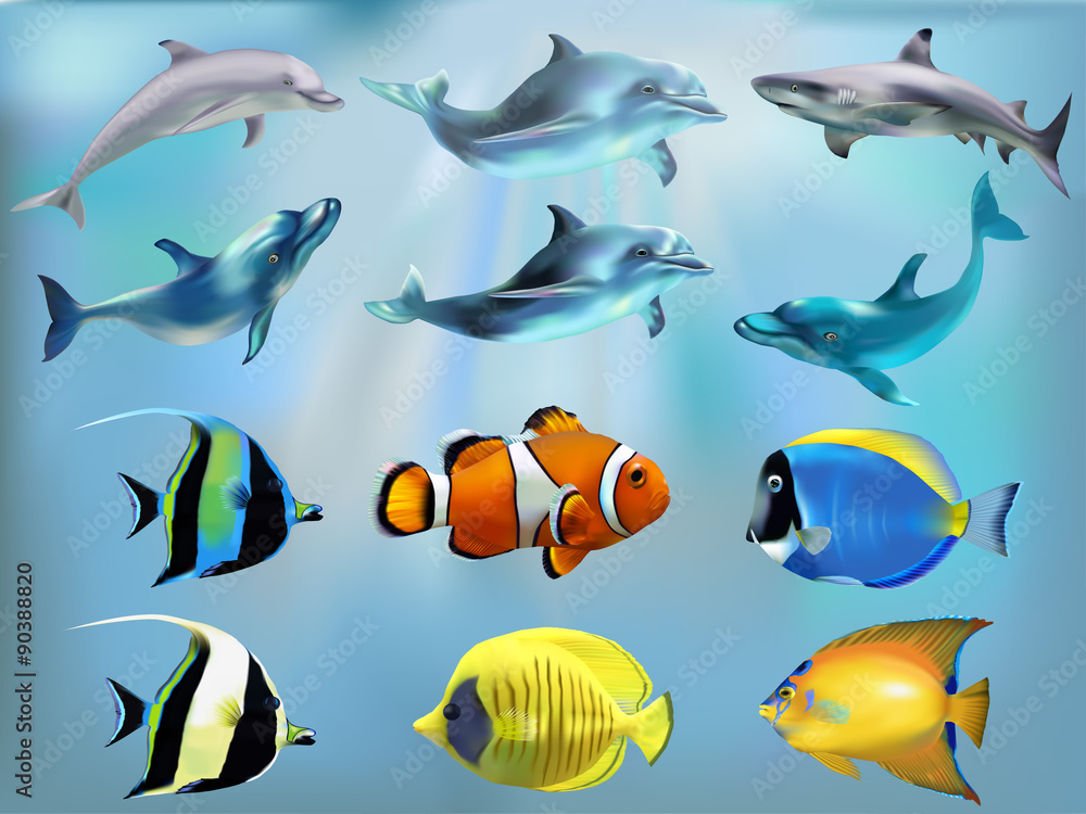 Naklejka premium Marine fish in the set 