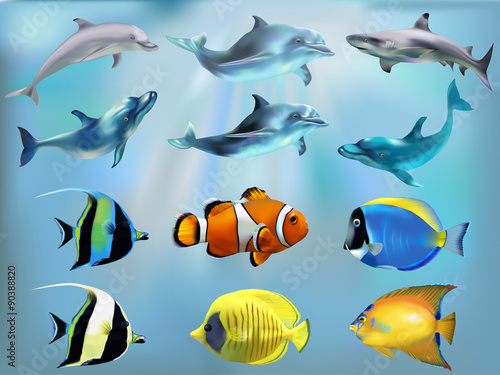 Marine fish in the set 