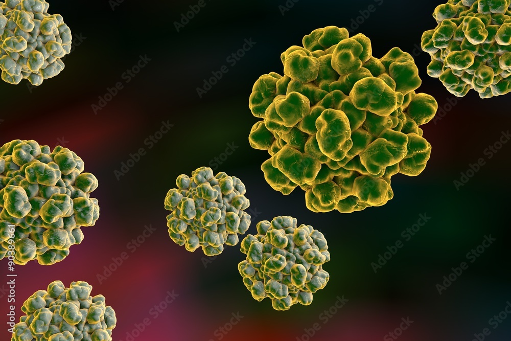 Hepatitis E virus on colorful background. A virus transmitted by drinking water. A model is built using data of viral macromolecular structure from Protein Data Bank (PDB 3HAG) Hepatitis E virus on colorful background. A virus transmitted by drinking water. A model is built using data of viral macromolecular structure from Protein Data Bank (PDB 3HAG)