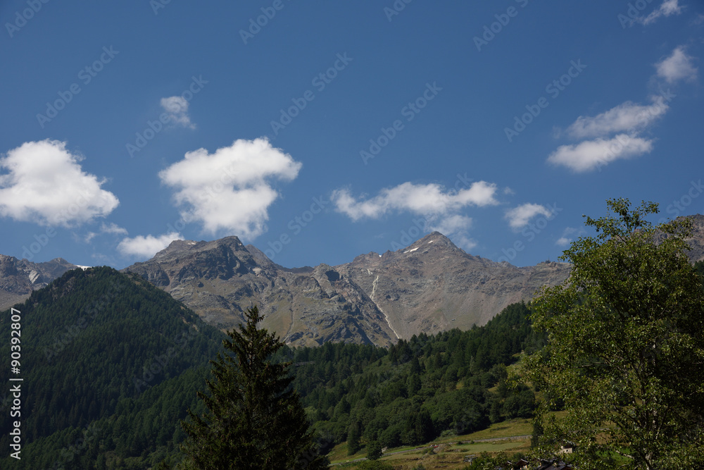 Fototapeta premium montagne cime bosco verde alpi 