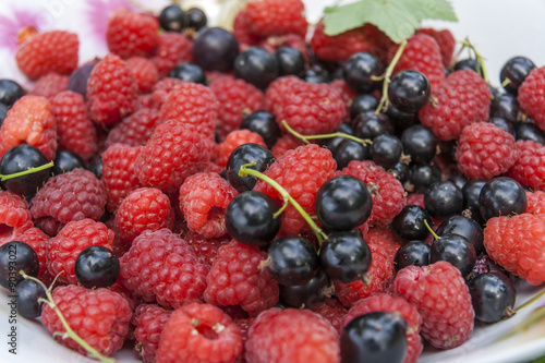 Colorful Mix Of Fresh Berries
