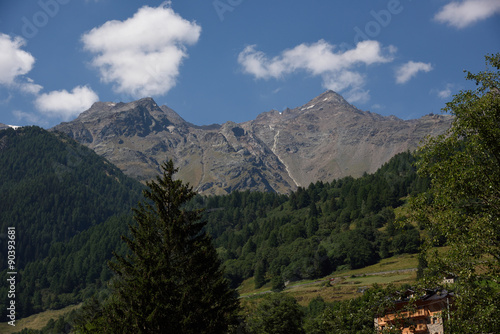 montagne cime bosco verde alpi  © franzdell