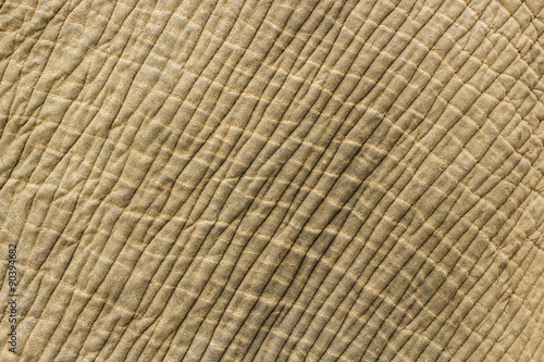 Elephant skin texture background