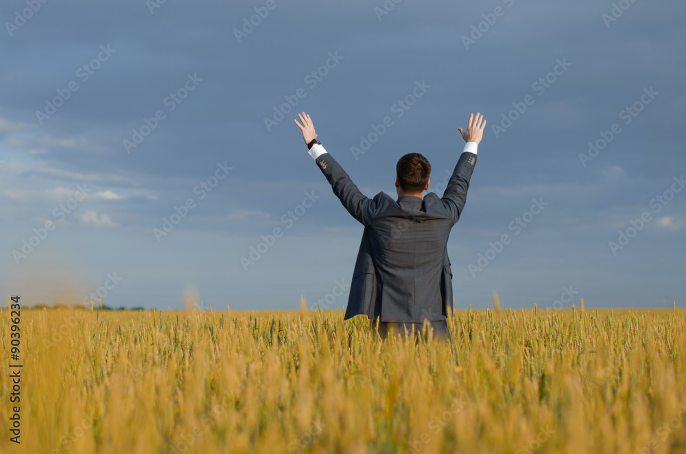 buisnessmen in a wheat field with his hands and thumbs up over wind buisnessmen in a wheat field with his hands and thumbs up over wind