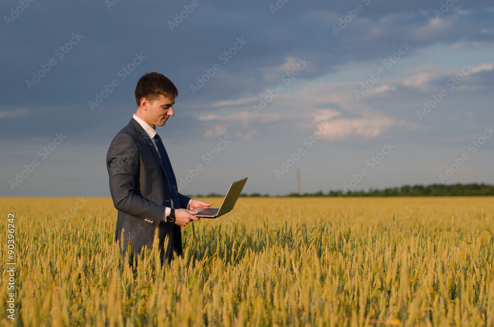 buisnessmen in a wheat field with his laptop buisnessmen in a wheat field with his laptop