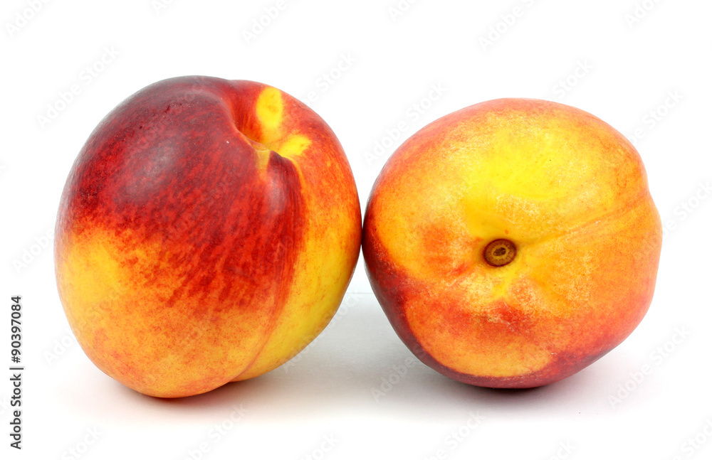 nectarines on a white background nectarines on a white background