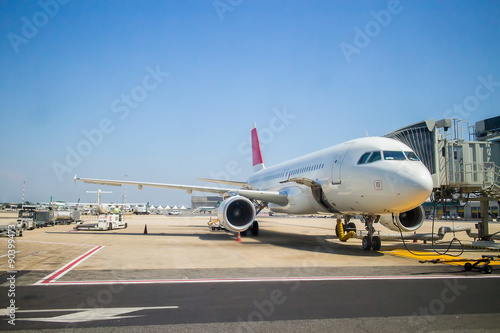 plane at the airport during loading passengers © hayoshka