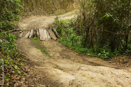 Dirt trail road in jungle
