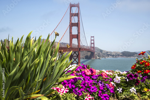 Golden Gate, San Francisco, the bridge and flowers