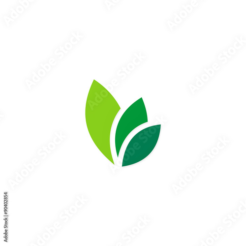 green leaf abstract beauty logo