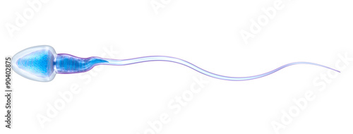 Sperm illustration isolated over white