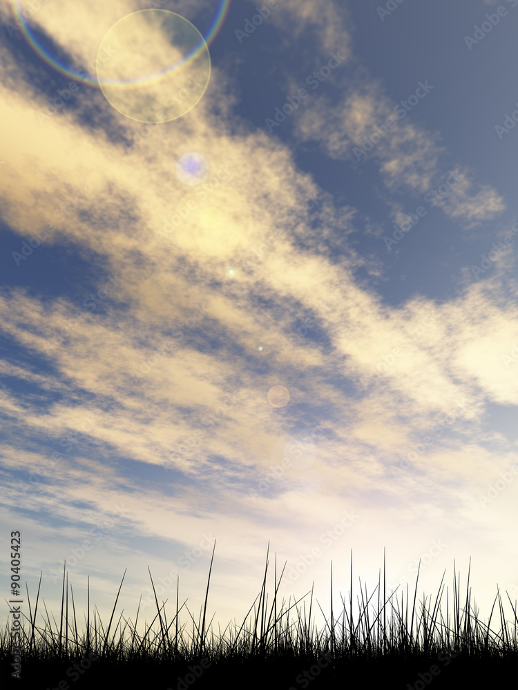 Black grass over sky sunset background Black grass over sky sunset background
