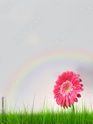 Conceptual pink flower in green grass