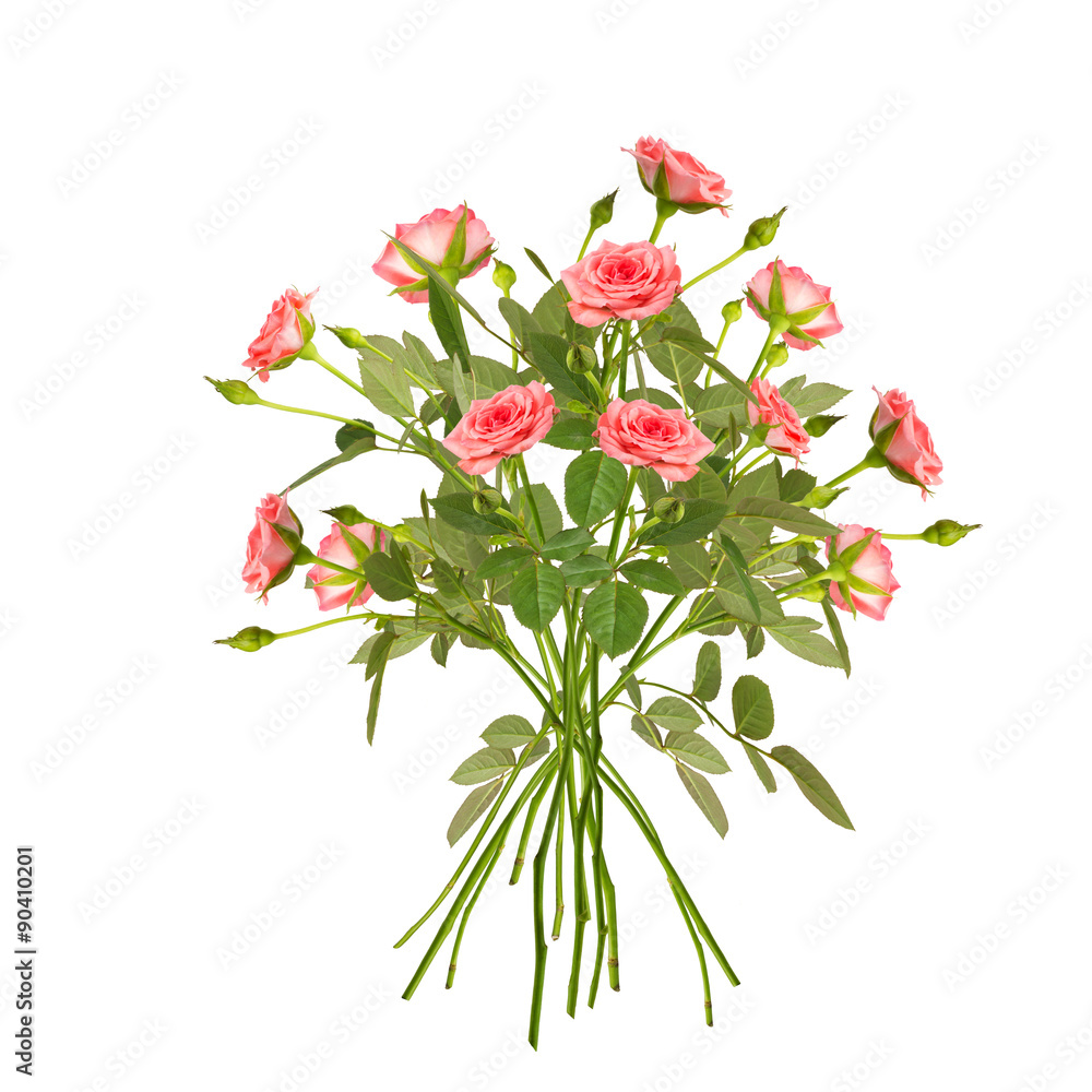 Collage of pink rose arrangement isolated on white