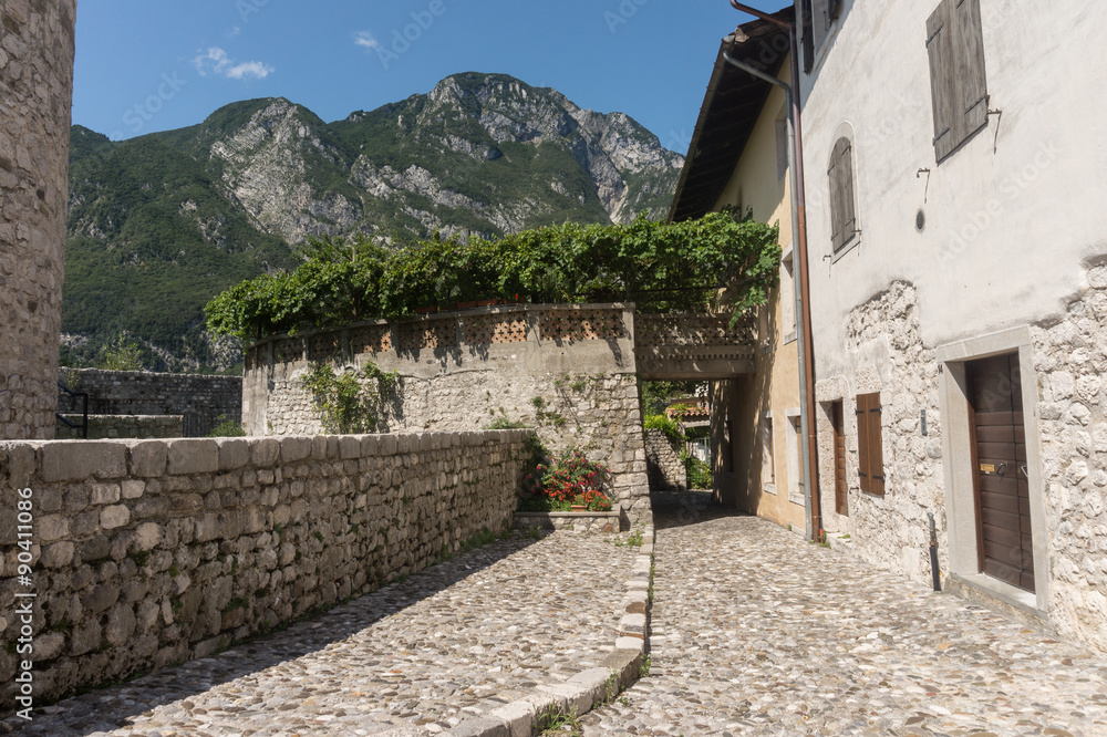 Obraz premium Venzone