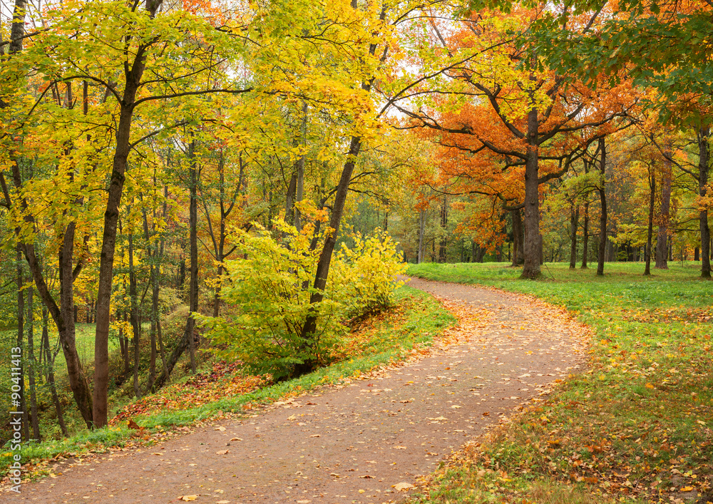 Autumn landscape. Park in fall. Golden autumn.