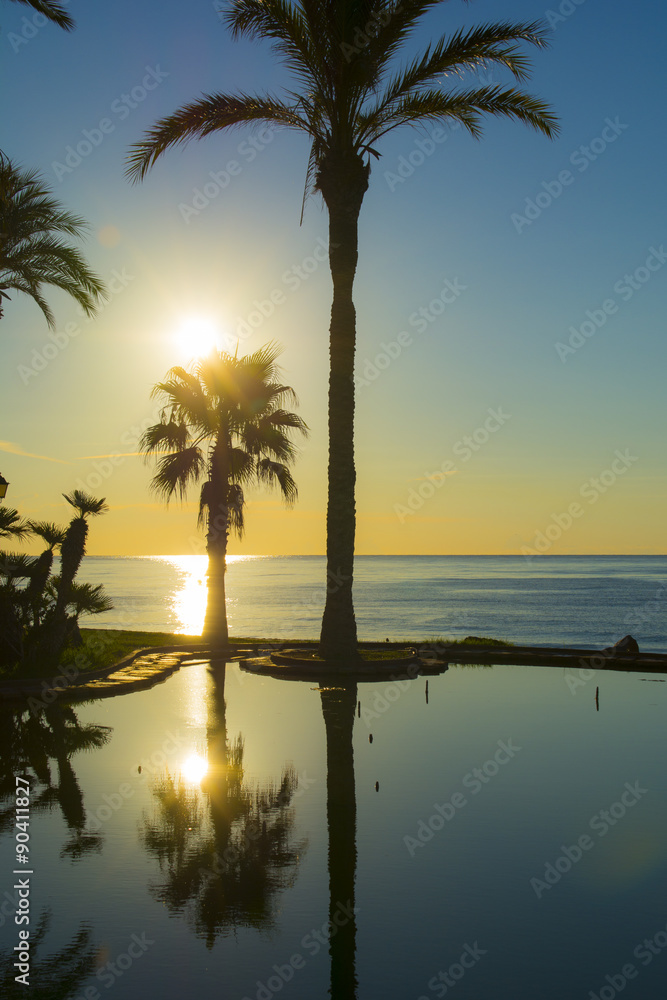 Sunrise on the beach and palms