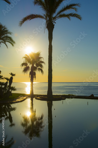 Sunrise on the beach and palms
