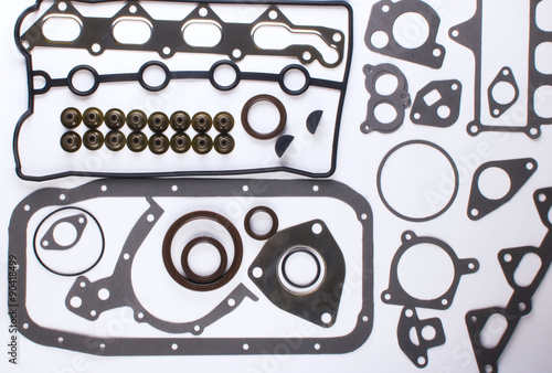Canvas Print gaskets for motor on a white background