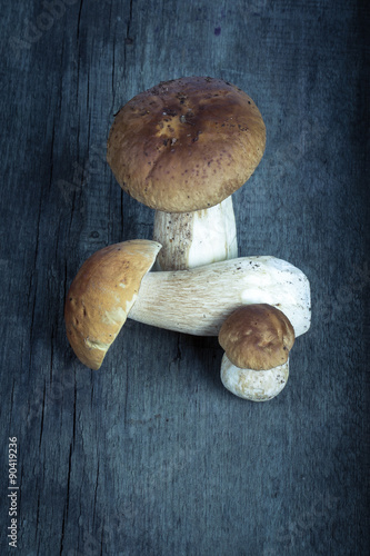 Boletus mushrooms on a background of old wooden planks. Vertical