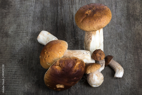 Ceps and boletus on the background of old wooden board