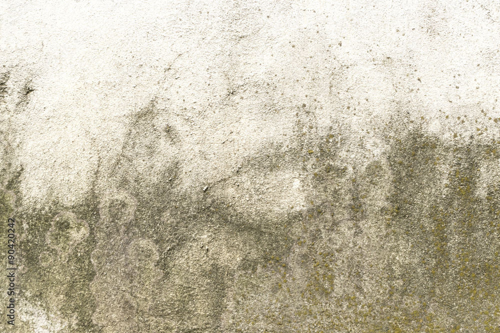 Obraz premium old stone damaged background