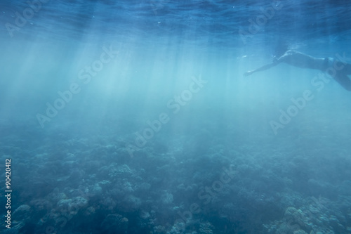 swimming in the water   background for underwater themes