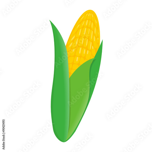 87876556332686432187