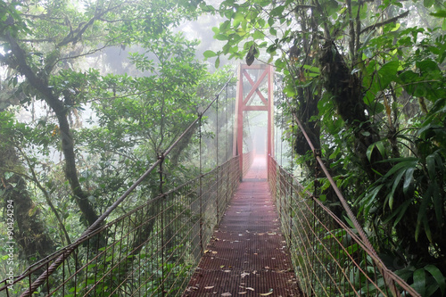 Scenic suspension bridge deep down in the cloud forest of Monteverde National Park, Costa Rica