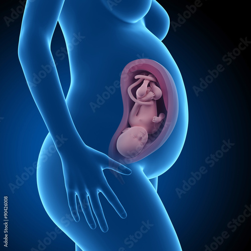 pregnant woman with visible fetus - week 36 photo