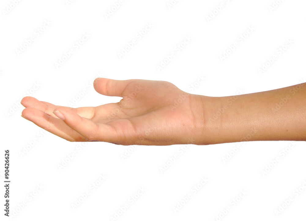Open female palm or hand begging isolated on a white background Open female palm or hand begging isolated on a white background