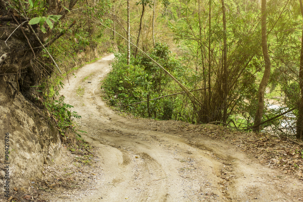 Fototapeta premium Rural road in the jungle