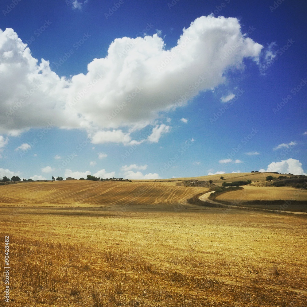 Trexenta field, southern Sardinia