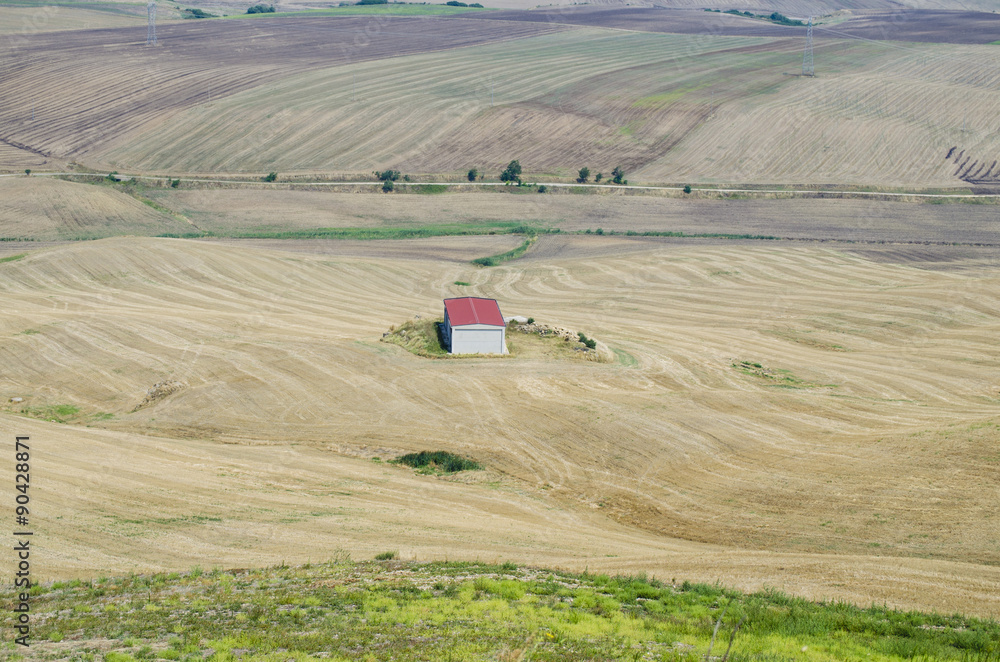 Obraz premium texture fields and house