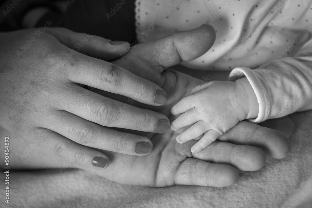 Main bébé, doigts mains papa maman Main bébé, doigts mains papa maman