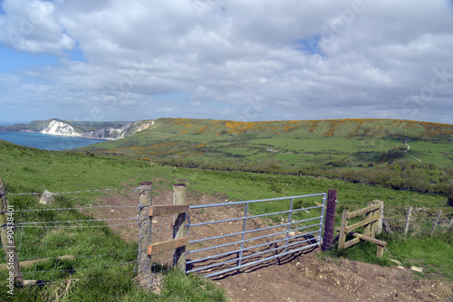 Fototapeta Naklejka Na Ścianę i Meble -  Fence on coastal path near Worbarrow Bay, Dorset