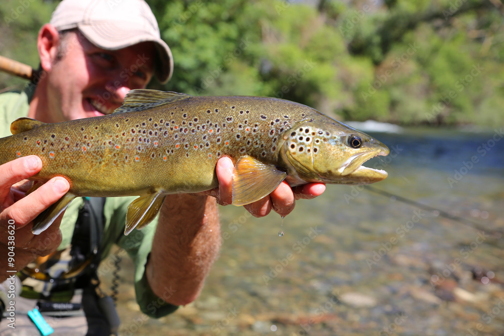 Obraz premium Fly-fisherman holding brown trout recently caught