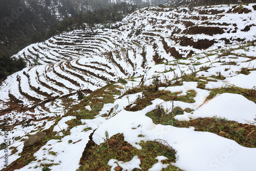 Snow falls in Sapa, Vietnam in 2014, an unusual natural phenomenon