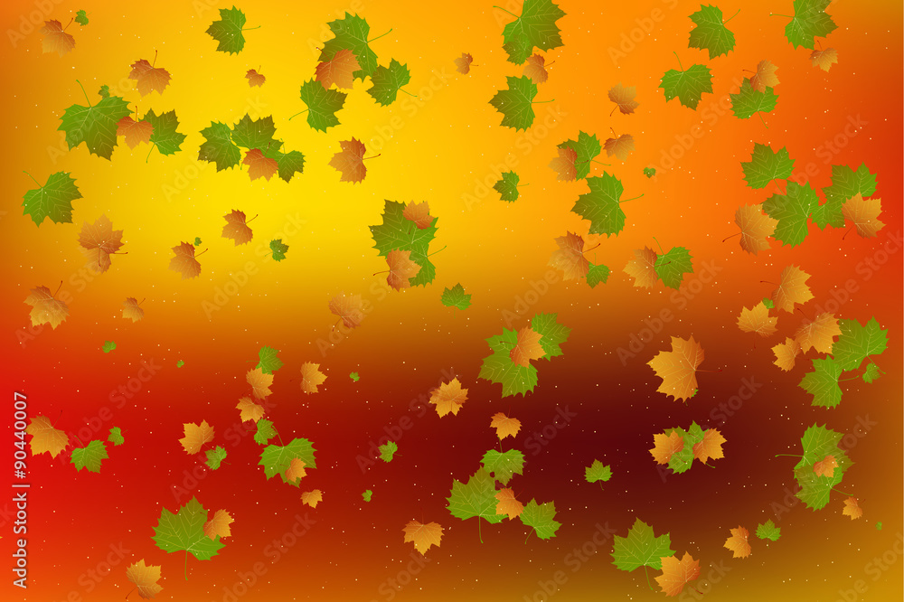 Autumn leaf fall.Vector Autumn leaf fall.Vector