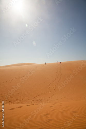 The traveler in the desert