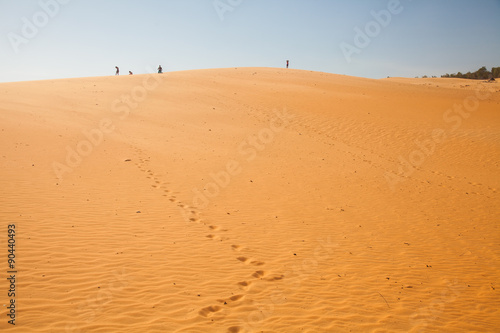 The traveler in the desert