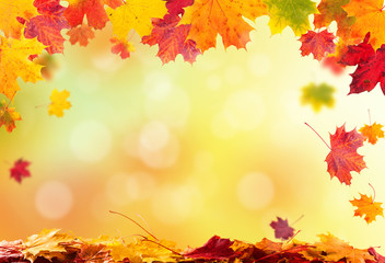 autumn leaves background